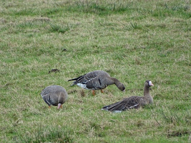 他们在新赛 他们在新赛