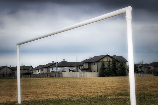展道路上 展道路上