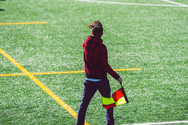 的心理韧性 的心理韧性