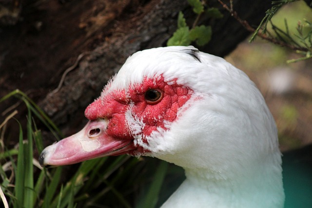 当时他从中 当时他从中