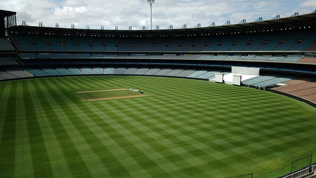 吸引游客 吸引游客