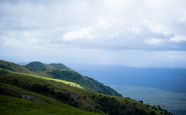 战术执行提 战术执行提
