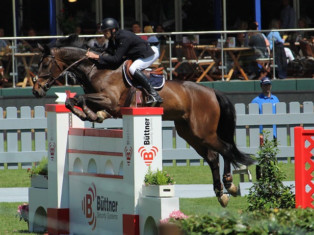 故事无疑让 故事无疑让