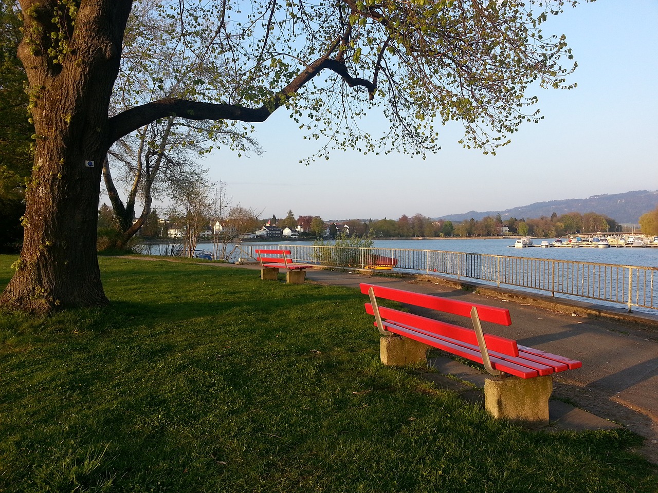 教練團來說 教練團來說