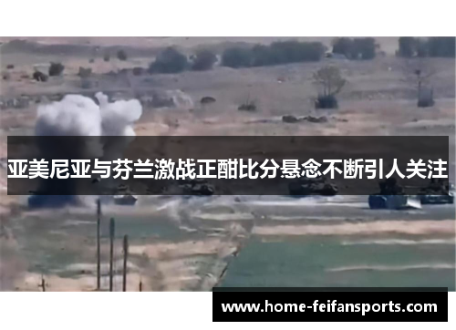 亚美尼亚与芬兰激战正酣比分悬念不断引人关注